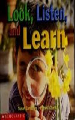 Look, listen and learn