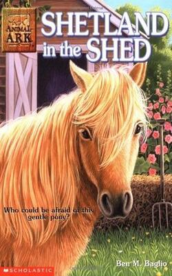 Shetland In The Shed