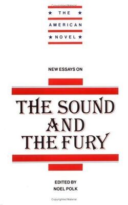 New Essays On 