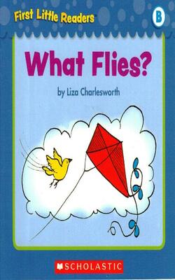 What Flies