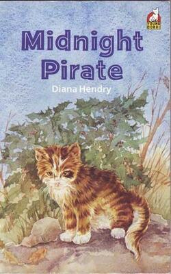 Midnight Pirate