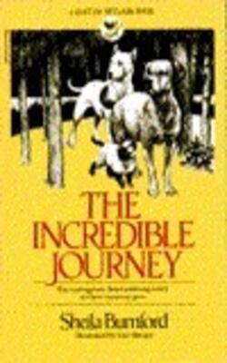 The Incredible Journey
