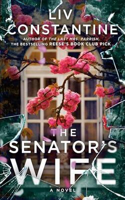 The Senators Wife: A Novel