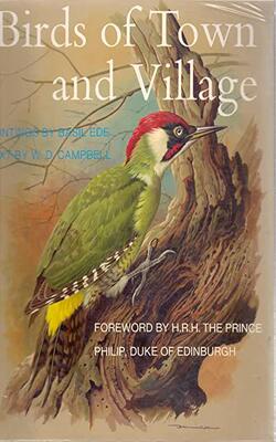 BIRDS OF TOWN AND VILLAGE PB.