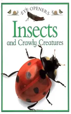 Insects And Crawly Creatures