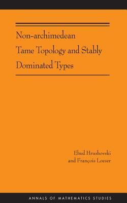 Non-archimedean Tame Topology And Stably