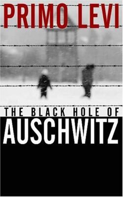 The Black Hole Of Auschwitz