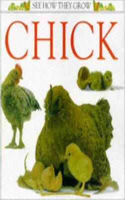 Chick