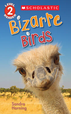 Bizarre Birds (scholastic Reader, Level 2)