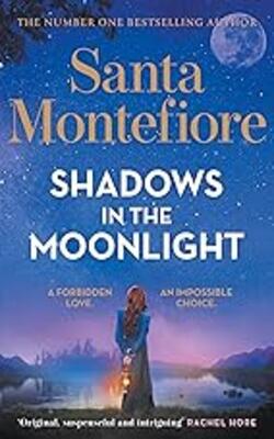 Shadows In The Moonlight