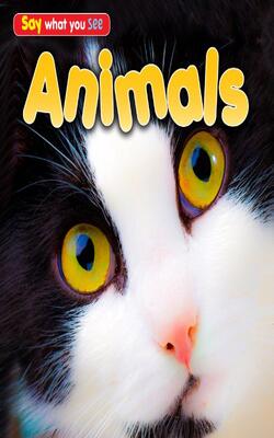 Animals (say What You See)