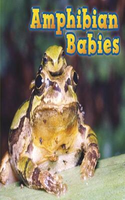 Amphibian Babies (animal Babies)