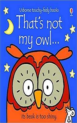 That\'s Not My Owl Touch And Feel Board Book