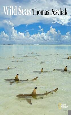 Wild Seas