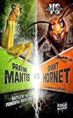 Praying Mantis Vs Giant Hornet: Battle Of The Powerful Predators (mini-beast Wars)