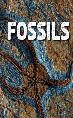 Rocks: Fossils
