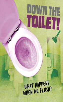 The Story Of Sanitation: Down The Toilet!: What Happens When We Flush?