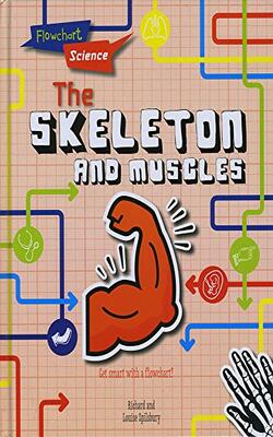 The Skeleton And Muscles