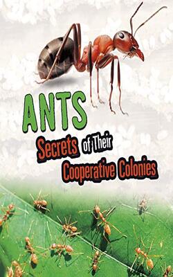Amazing Animal Colonies: Ants: Secrets Of Their Cooperative Colonies