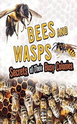 Amazing Animal Colonies: Bees And Wasps: Secrets Of Their Busy Colonies