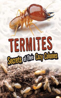 Amazing Animal Colonies: Termites: Secrets Of Their Cozy Colonies