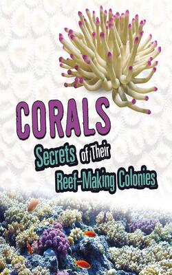 Amazing Animal Colonies: Corals: Secrets Of Their Reef-making Colonies
