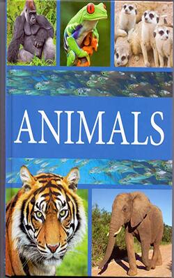 Animals