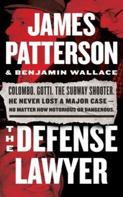 Defense Lawyer
