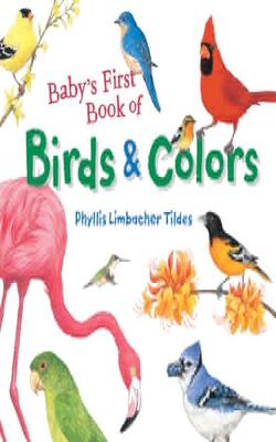 Baby''s First Book Of Birds & Colors