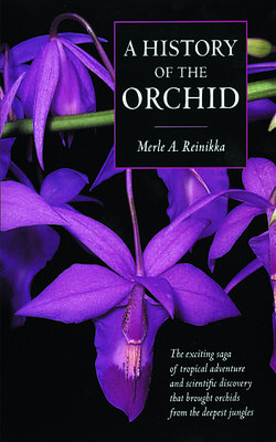 A History Of The Orchid