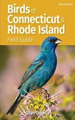 Birds Of Connecticut & Rhode Island Field Guide