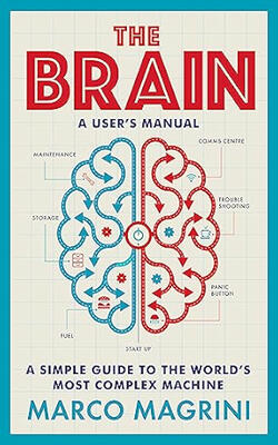 The Brain