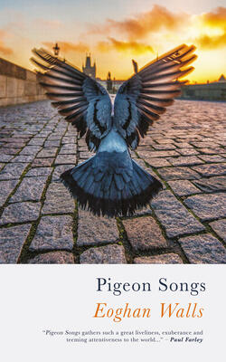 Pigeon Songs