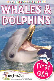 Whales And Dolphins