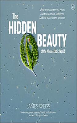 The Hidden Beauty Of The Microscopic Wor