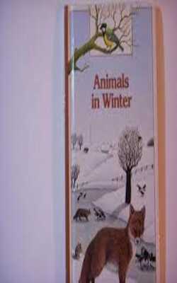 Animals In Winter