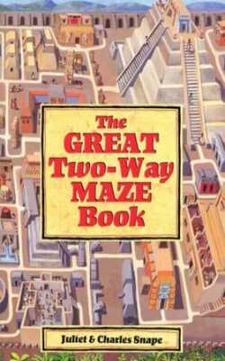 The Great Two-way Maze Book