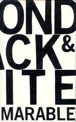 Beyond Black And White - Rethinking Race In American Politics And Society