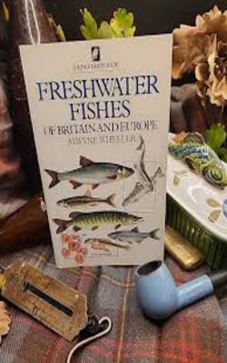 Freshwater Fishes