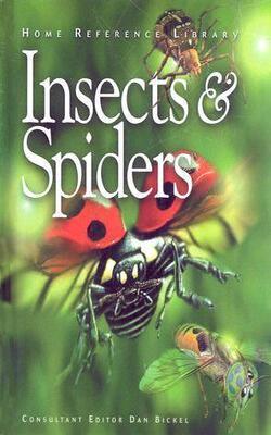 Insects And Spiders