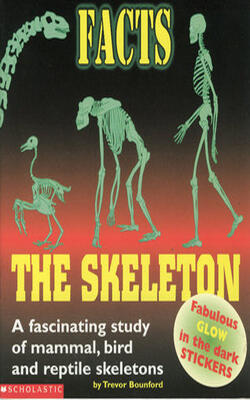 Skeleton