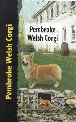 Pembroke Welsh Corgi