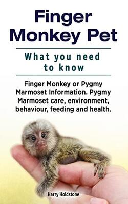 Finger Monkey Pet. What You Need To Know. Finger Monkey Or Pygmy Marmoset Information. Pygmy Marmos