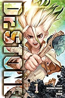 Dr. Stone, Vol. 1