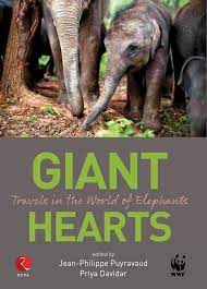 Giant Hearts Travels In The World Of Elephants