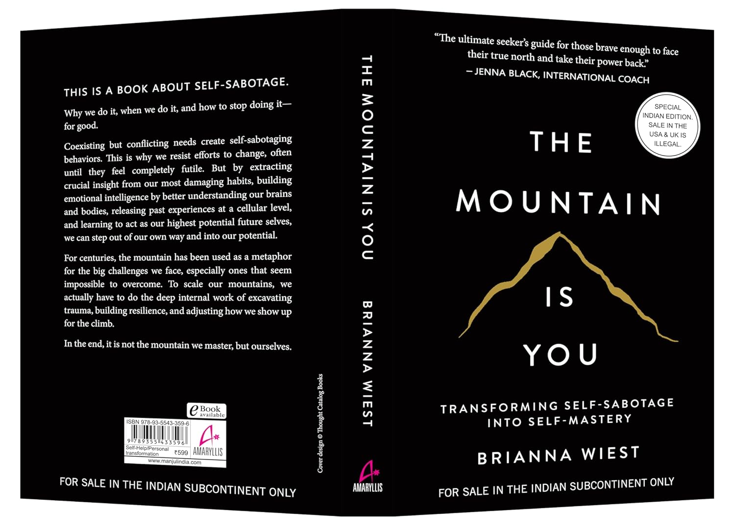 The Mountain Is You (hb)