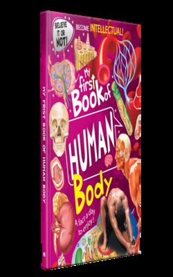 My First Book of Human Body