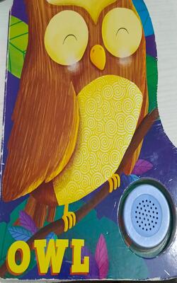 Owl