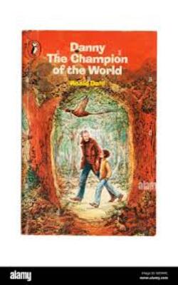 A Danny The Champion Of The World Book