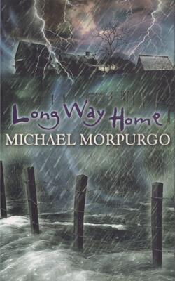 Long Way Home